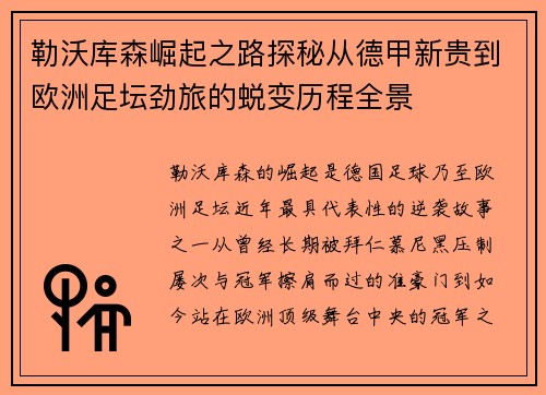 勒沃库森崛起之路探秘从德甲新贵到欧洲足坛劲旅的蜕变历程全景